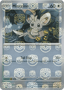 Minccino