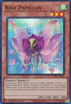 Rose Papillon