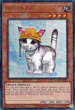 Rescue Cat (V.13 - Ultimate Rare)