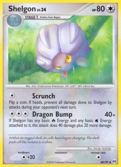 Shelgon Lv.34