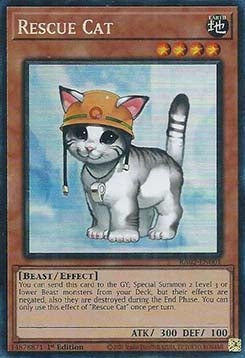 Rescue Cat (V.11 - Collectors Rare)