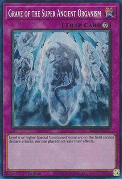 Grave of the Super Ancient Organism (V.6 - Collectors Rare)