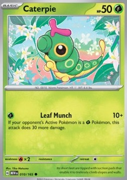Caterpie