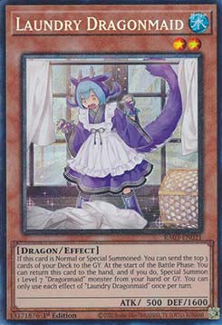 Laundry Dragonmaid (V.6 - Collectors Rare)