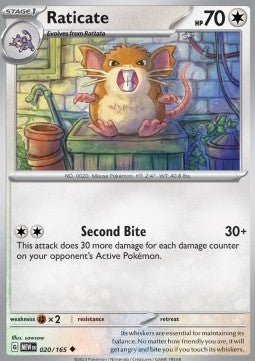 Raticate
