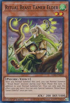 Ritual Beast Tamer Elder (V.1 - Super Rare)