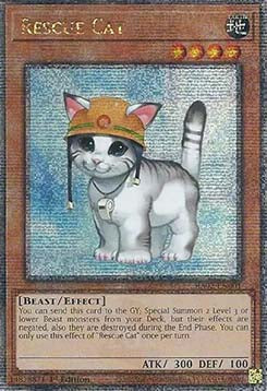 Rescue Cat (V.9 - Quarter Century Secret Rare)
