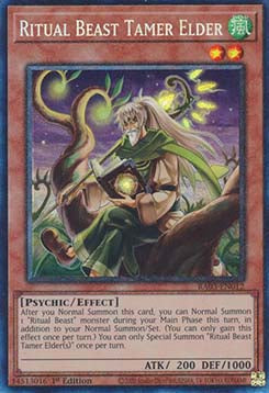 Ritual Beast Tamer Elder (V.6 - Collectors Rare)