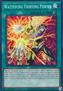 Wattsychic Fighting Porter