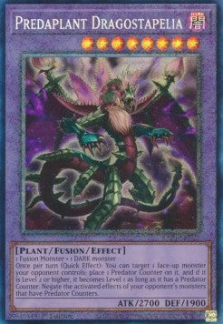 Predaplant Dragostapelia (V.6 - Collectors Rare)