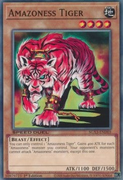 Amazoness Tiger