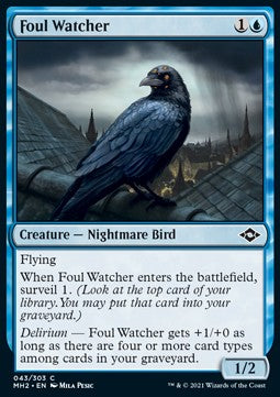 Foul Watcher