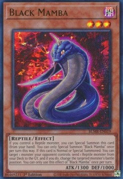 Black Mamba