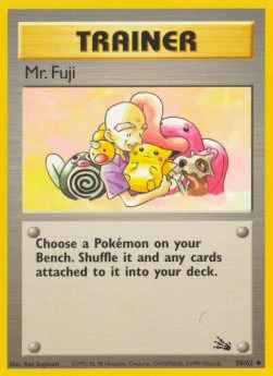 Mr. Fuji