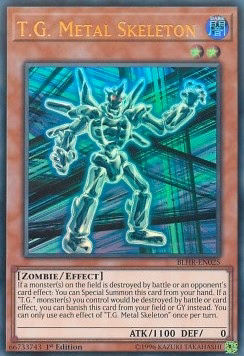 T.G. Metal Skeleton