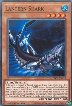 Lantern Shark