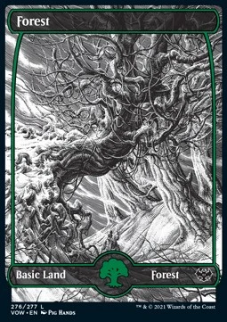 Forest (V.1)
