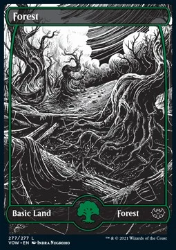 Forest (V.2)