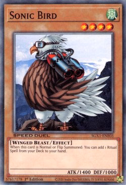 Sonic Bird