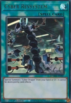 Cyber Revsystem