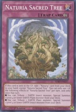 Naturia Sacred Tree