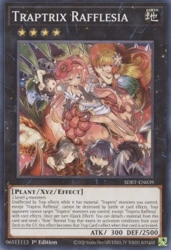 Traptrix Rafflesia