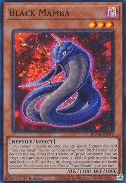 Black Mamba
