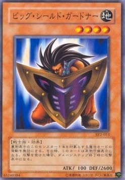 Big Shield Gardna