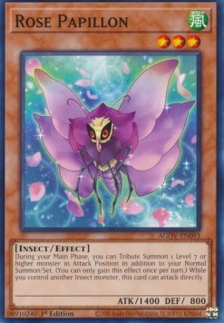 Rose Papillon