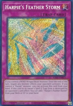 Harpie's Feather Storm (V.3 - Secret Rare)