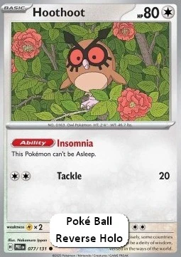 Hoothoot