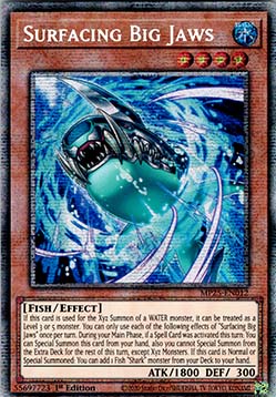 Surfacing Big Jaws