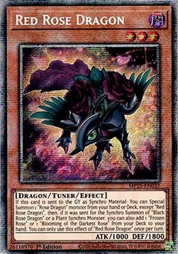 Red Rose Dragon