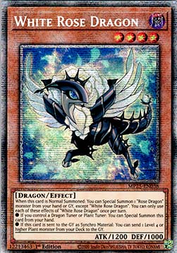 White Rose Dragon