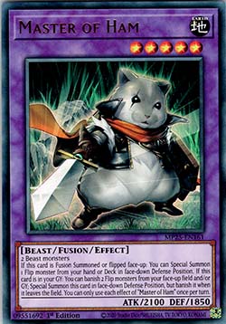 Master of Ham