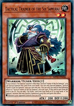Tactical Trainer of the Six Samurai
