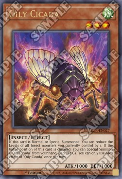 Oily Cicada
