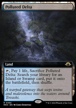 Polluted Delta (V.3)