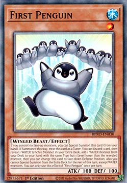 First Penguin