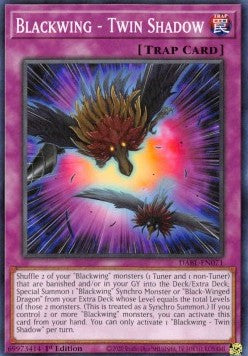 Blackwing - Twin Shadow